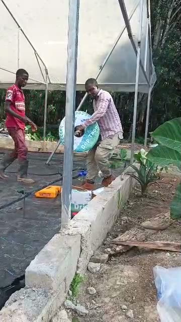 Irrigation sous serre