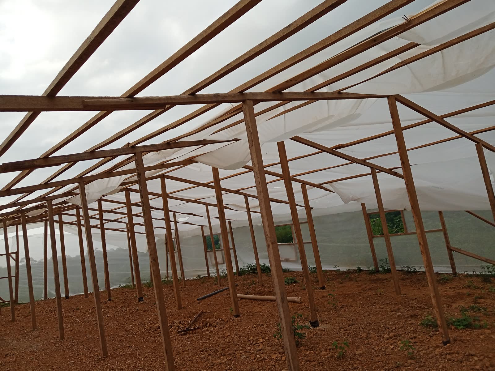 CI Irrigation — équipe et réalisations